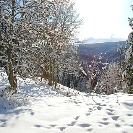 Gaestehaus Fridolin *