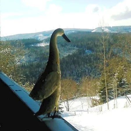Gaestehaus Fridolin