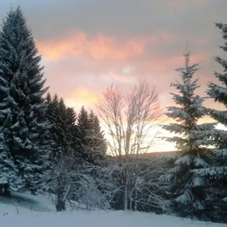 Bed & Breakfast Gaestehaus Fridolin *