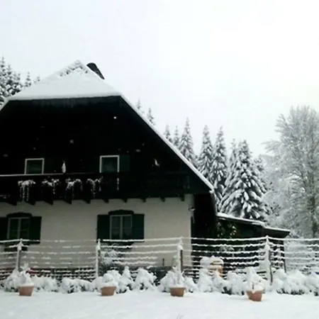 Bed & Breakfast Gaestehaus Fridolin *