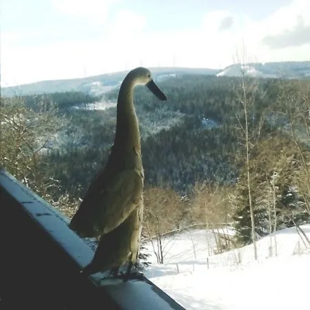 Gaestehaus Fridolin Krieglach