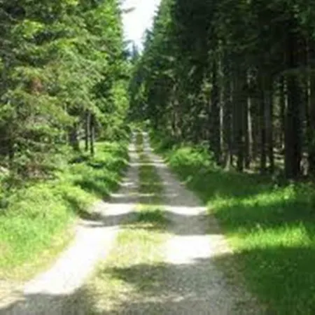 Bed & Breakfast Gaestehaus Fridolin *