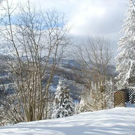 Bed & Breakfast Gaestehaus Fridolin *
