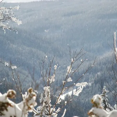 فندق مبيت وإفطار Gaestehaus Fridolin *