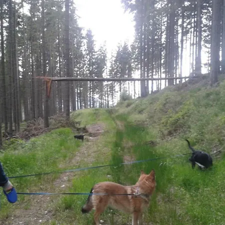 Gaestehaus Fridolin Alojamento de Acomodação e Pequeno-almoço *