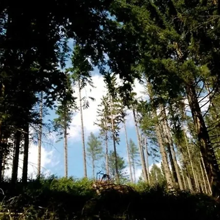 Gaestehaus Fridolin Alojamento de Acomodação e Pequeno-almoço