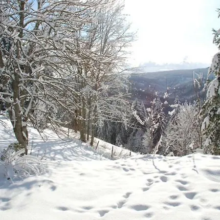 Gaestehaus Fridolin Bed & Breakfast *