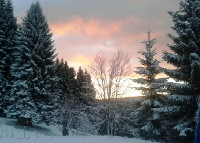 فندق مبيت وإفطار Gaestehaus Fridolin *