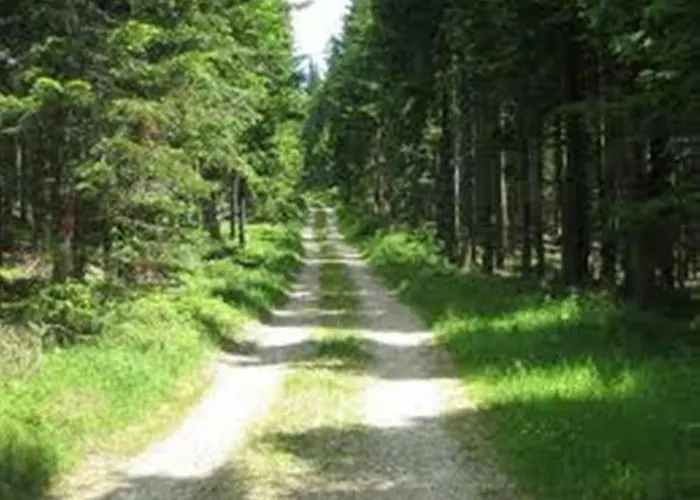 Bed & Breakfast Gaestehaus Fridolin *