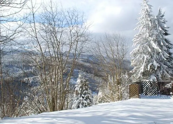 Bed & Breakfast Gaestehaus Fridolin *