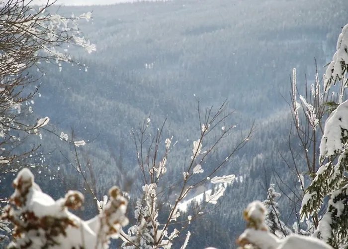 فندق مبيت وإفطار Gaestehaus Fridolin *