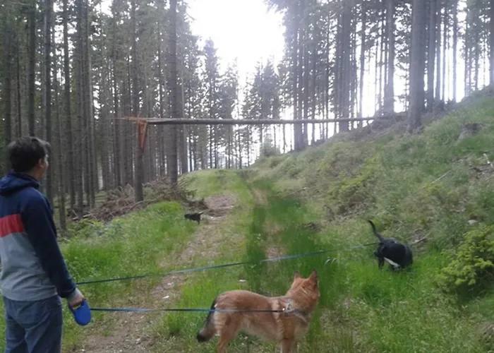 Gaestehaus Fridolin فندق مبيت وإفطار *