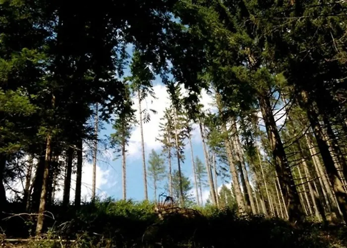 Gaestehaus Fridolin Bed & Breakfast