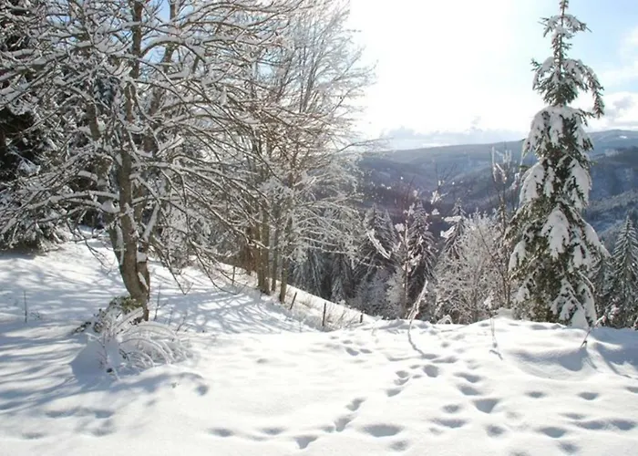 Gaestehaus Fridolin Bed & Breakfast *